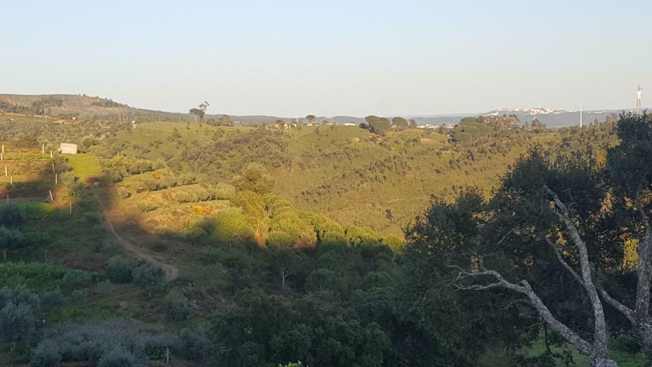 Quinta Do Caneiro - Casa Turismo Rural Конштансия Экстерьер фото